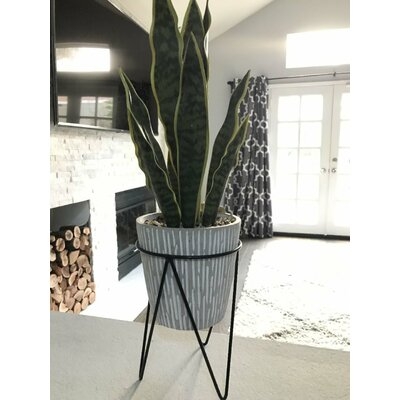 10'' Artificial Snake Plant in Pot - Image 0