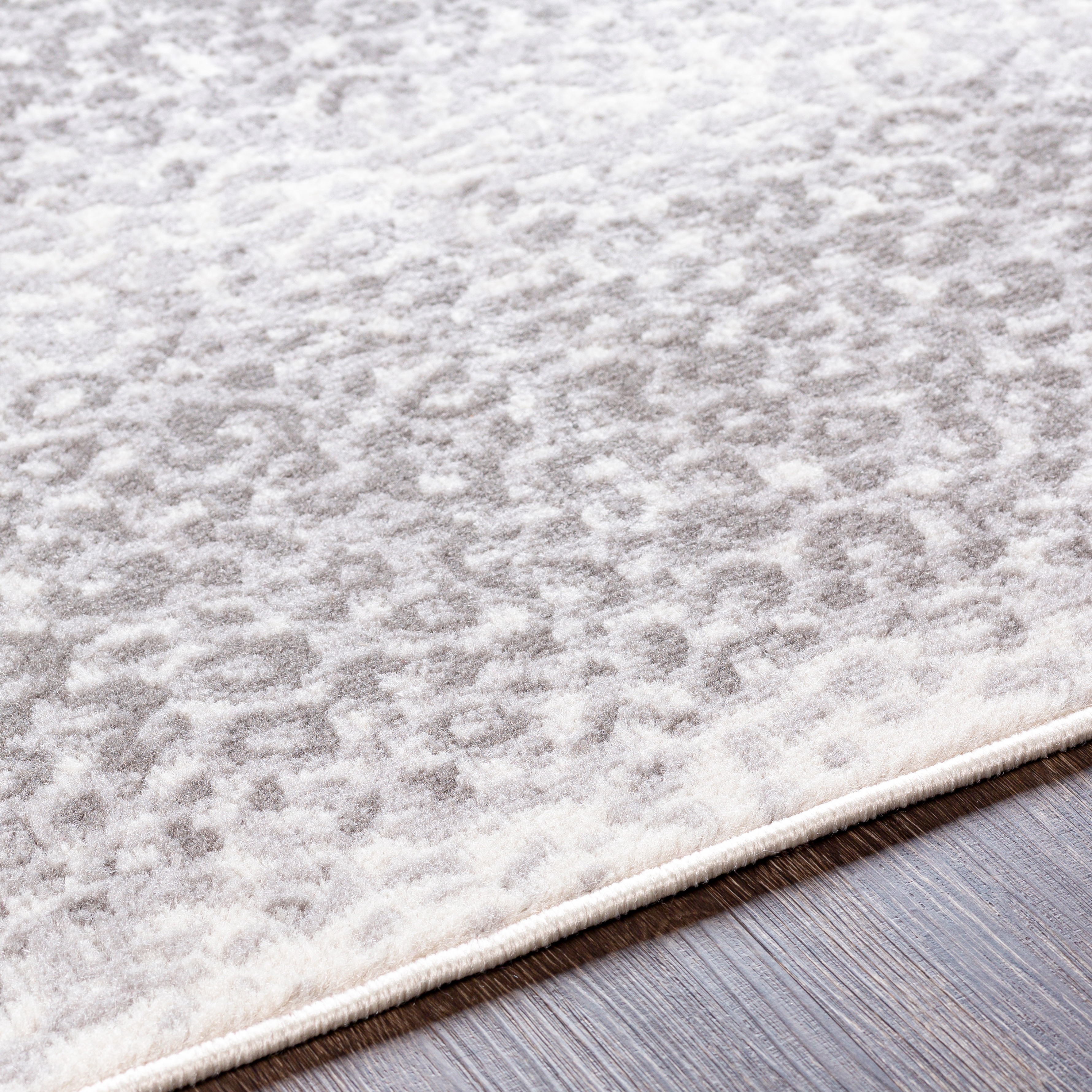 Pisa  Indoor 5' x 7' Machine Woven Rug - Image 3