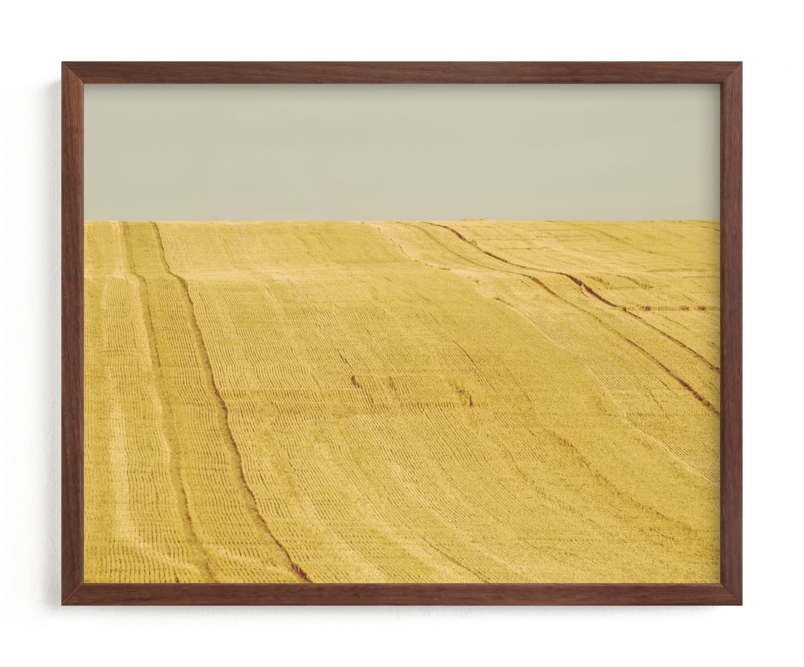 Sunny Field Limited Edition Fine Art Print 2 - Image 0