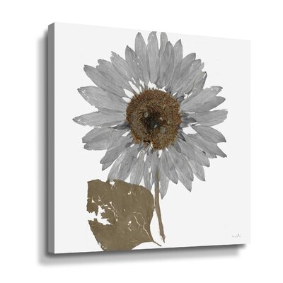 Herbarium Gallery Wrapped Canvas - Image 0