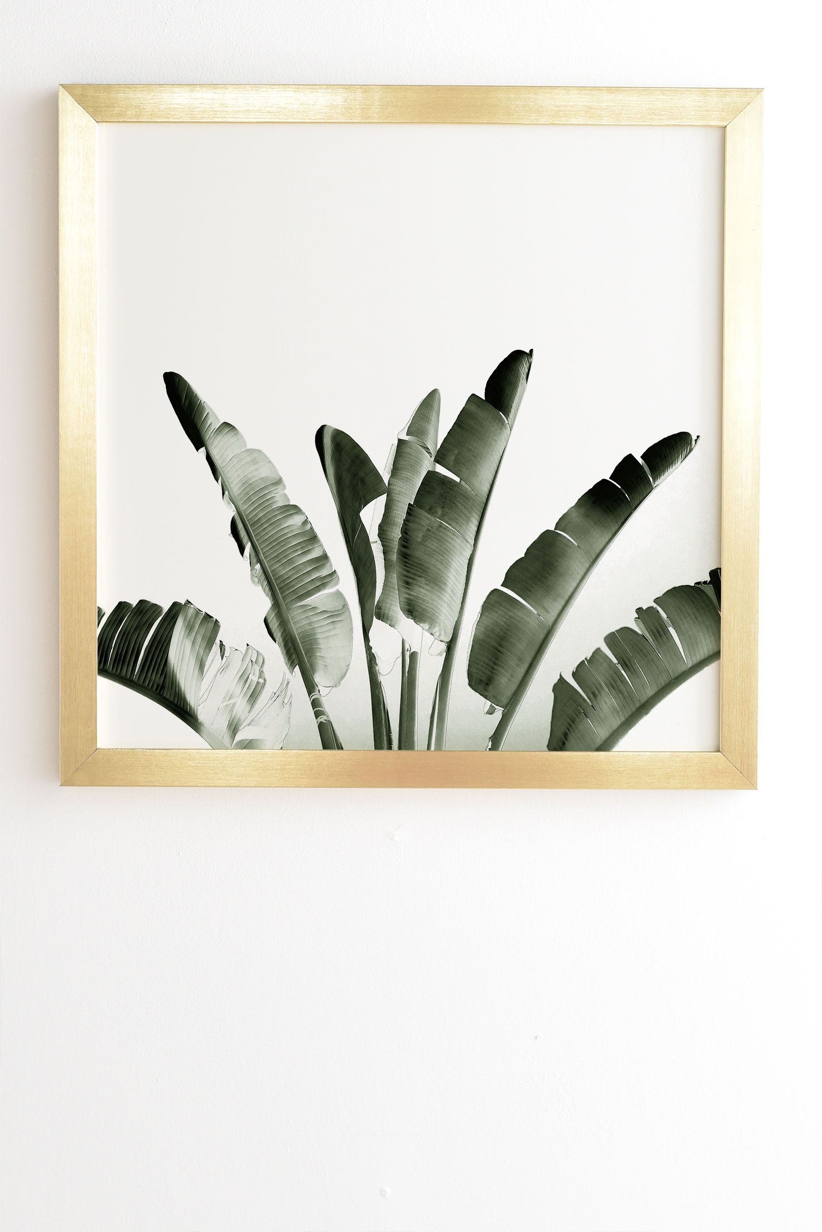 Traveler Palm by Gale Switzer - Framed Wall Art Basic Gold 20" x 20" - Image 1