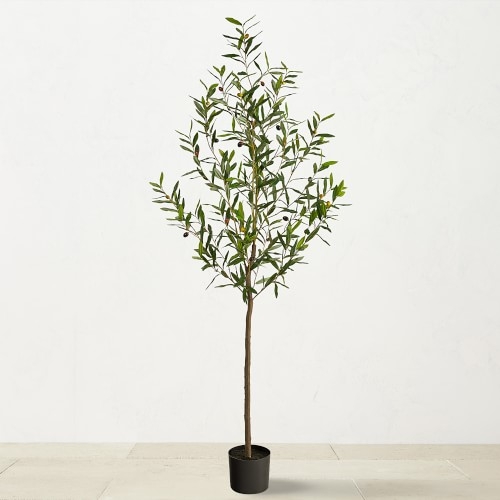 Faux Olive Tree, 72" - Image 0