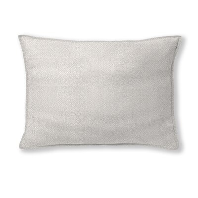Aleidy Rectangular Pillow Cover & Insert - Image 0