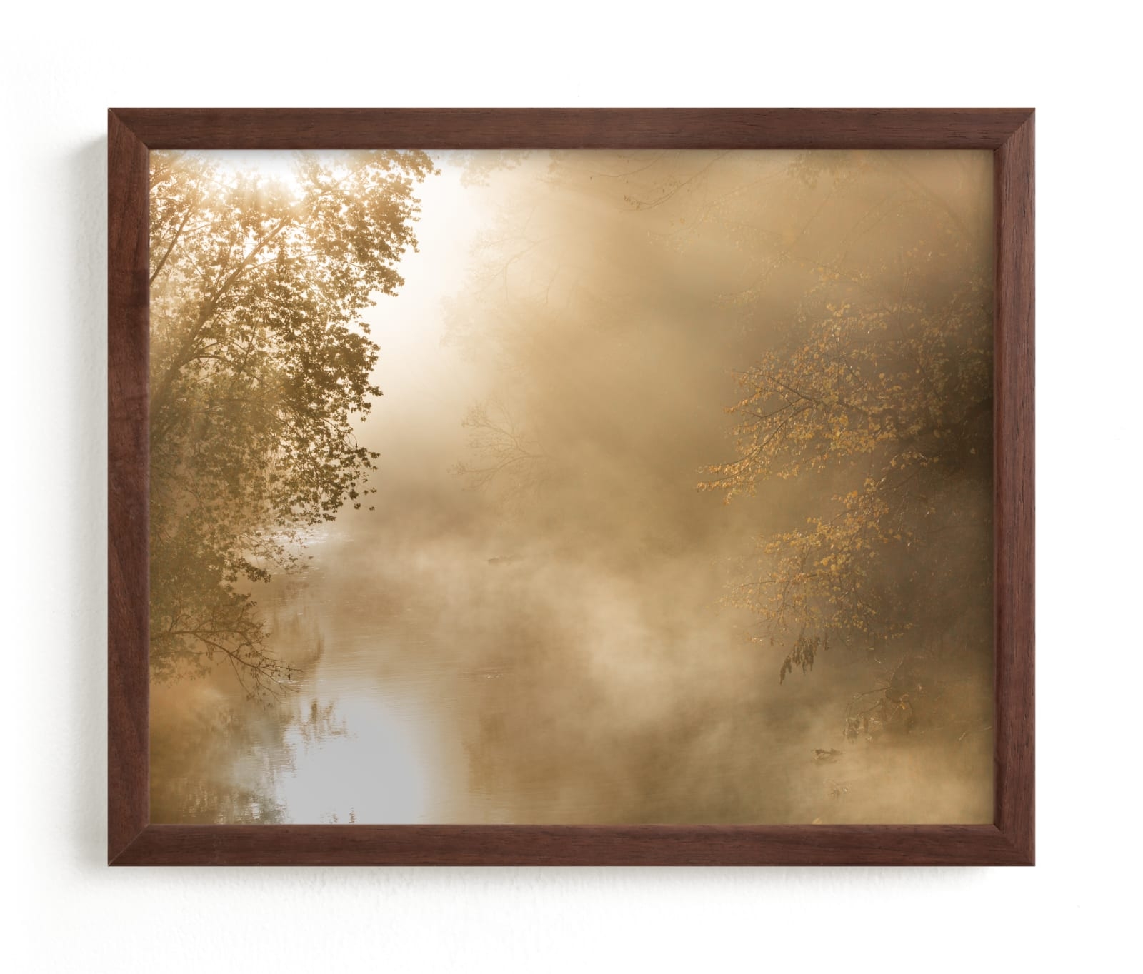 Golden Light Limited Edition Fine Art Print 2 - Image 0