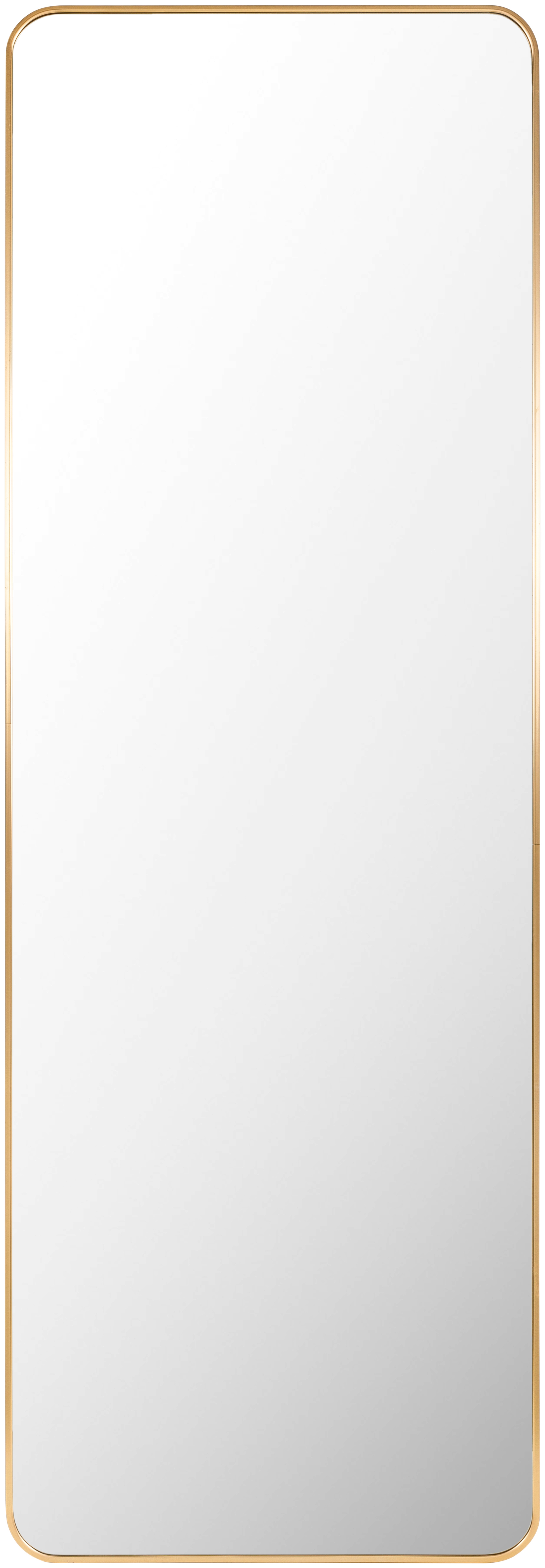 Aranya Gold 72"H x 36"W x 1"D Full Length Mirror - Image 0