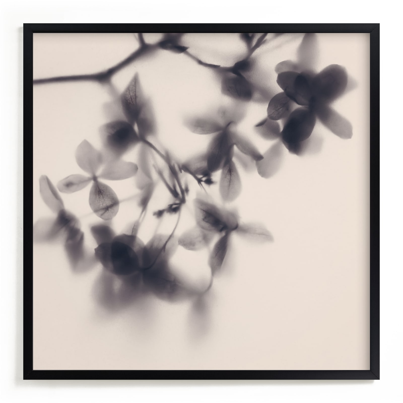 Veiled Petals Limited Edition Fine Art Print 2 - Image 0