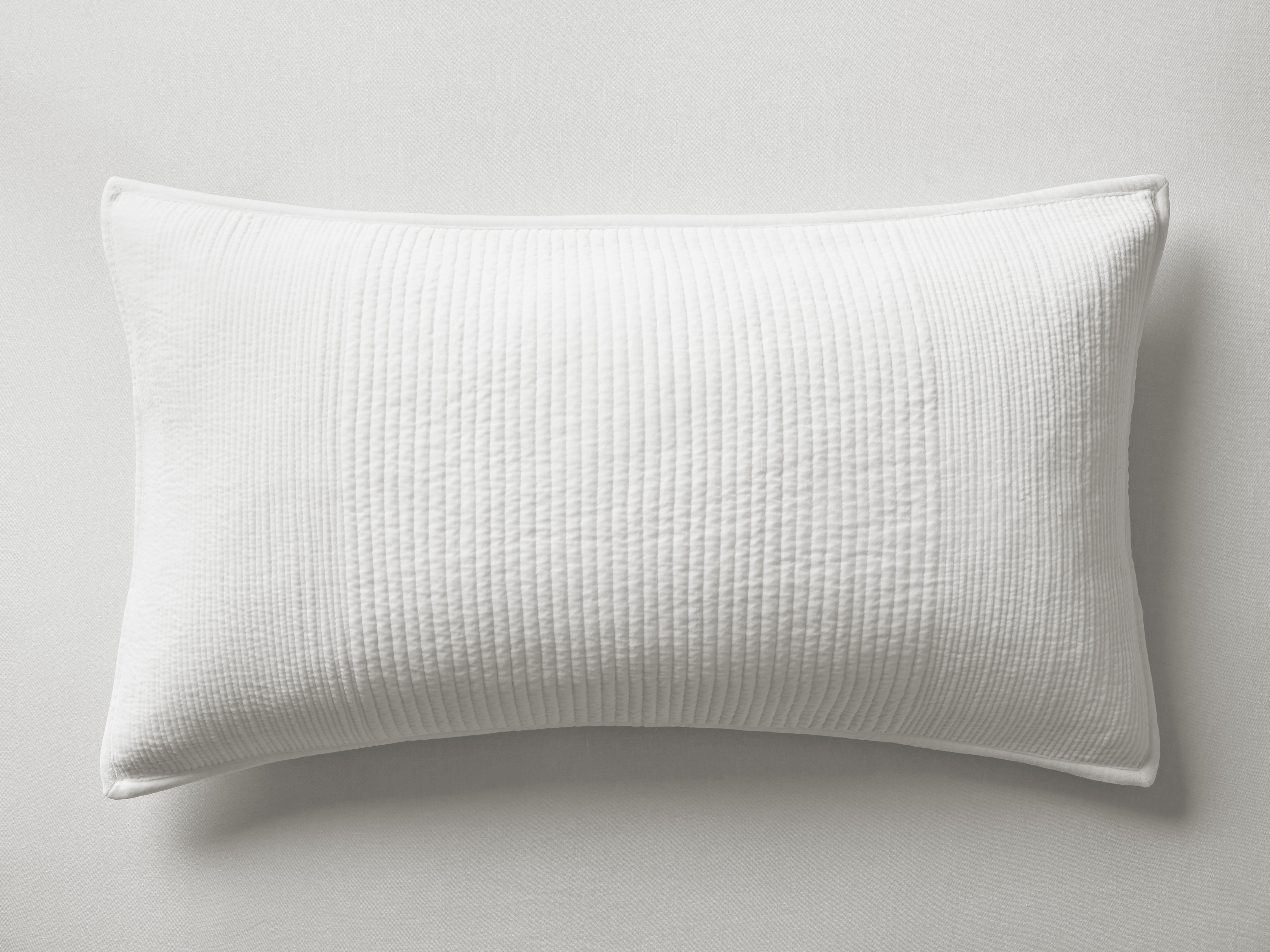Daria Sham Velvet Standard in White  Ivory  - Image 0