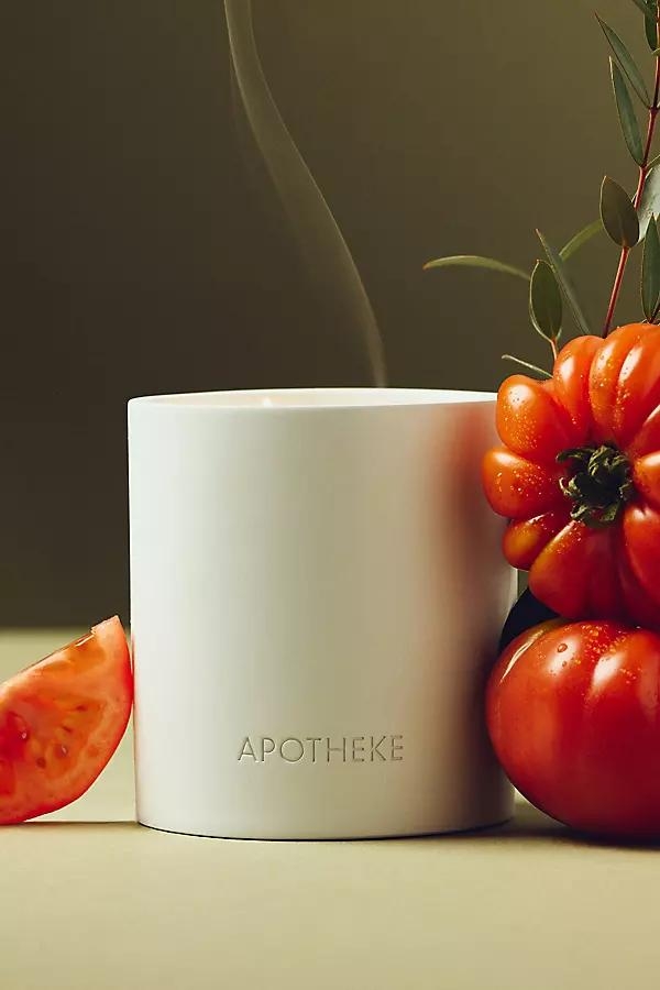 Garden Tomato Tarragon Boxed Candle - Image 0