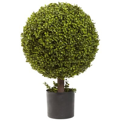 27 Boxwood Ball Topiary" - Image 0