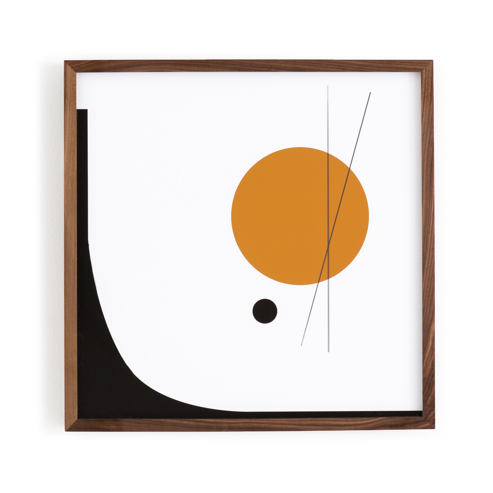 Natural Curiosities by Jess Engle, Singles - Walnut 2.5 - Image 0