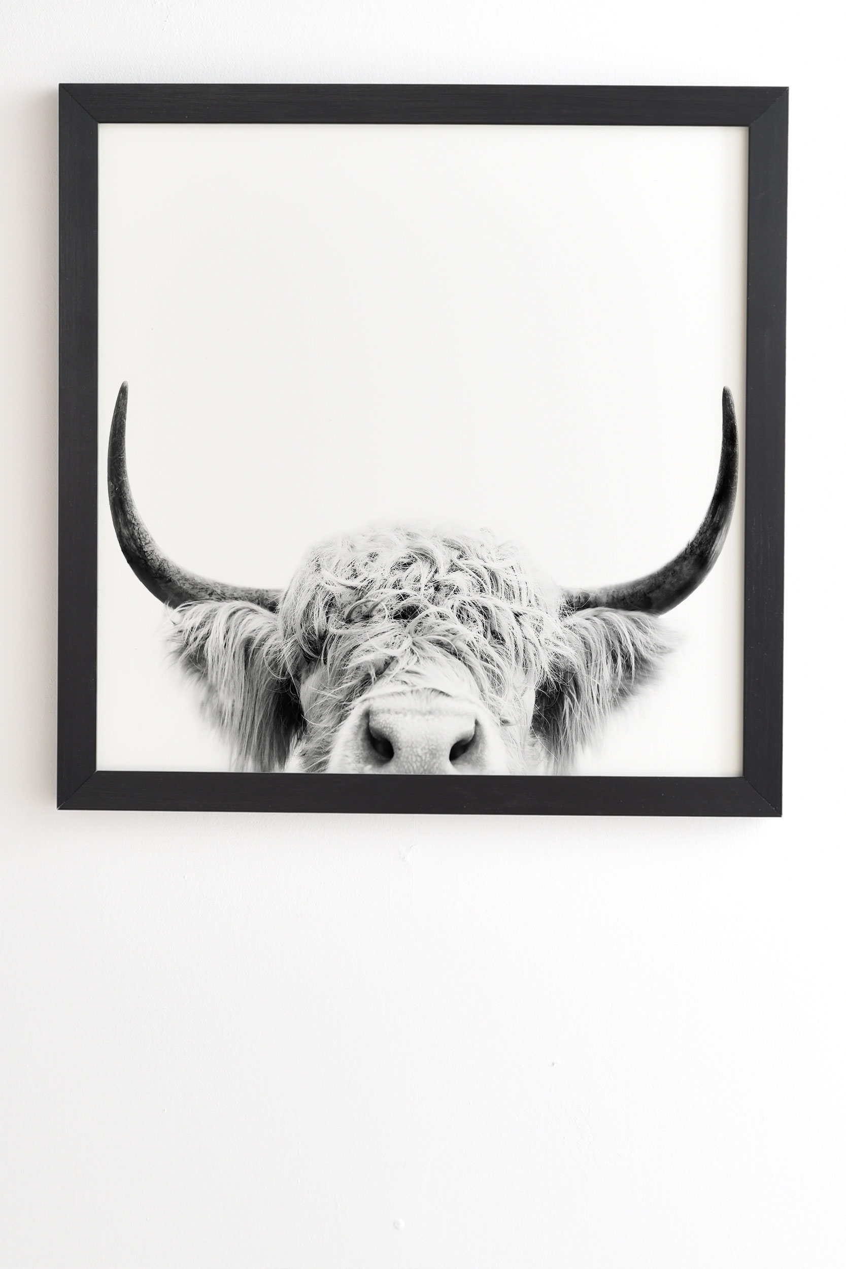 Peeking Highland Cow by Sisi and Seb - Framed Wall Art Basic Black 20" x 20" - Image 1