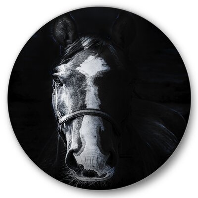 Horse Staring Sinister - Farmhouse Metal Circle Wall Art - Image 0