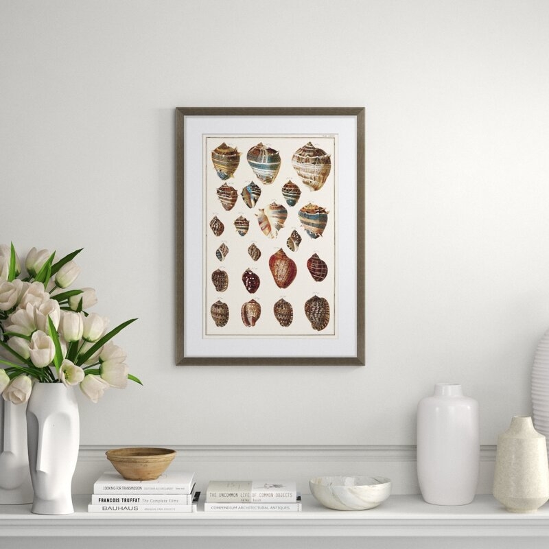 Soicher Marin Finn and Ivy 'Electric Seashells 2' - Picture Frame Painting on Paper - Image 0
