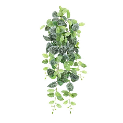 Artificial Fittonia Ivy Hanging Plant - Image 0