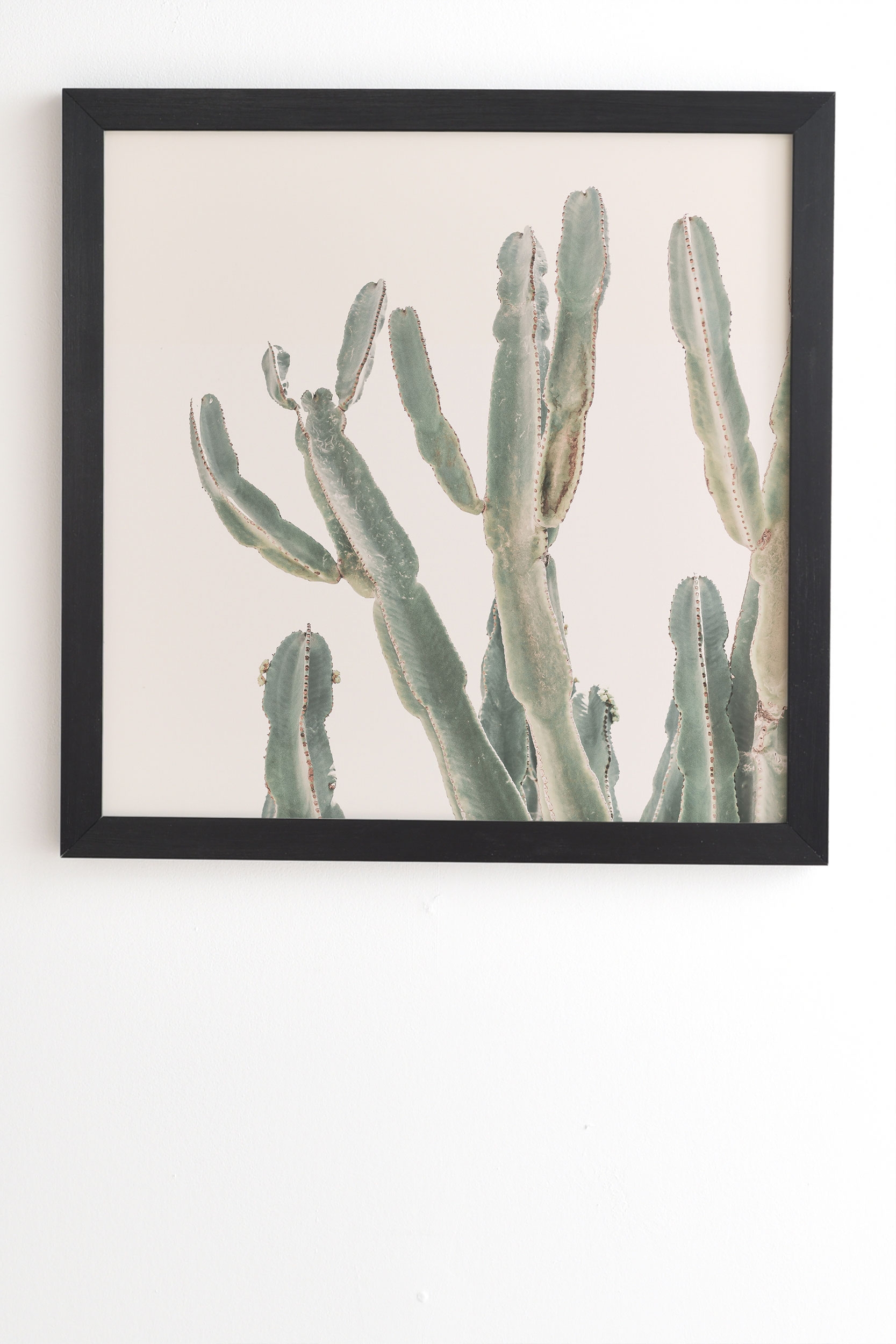 Sunrise Cactus by Sisi and Seb - Framed Wall Art Basic Black 20" x 20" - Image 1
