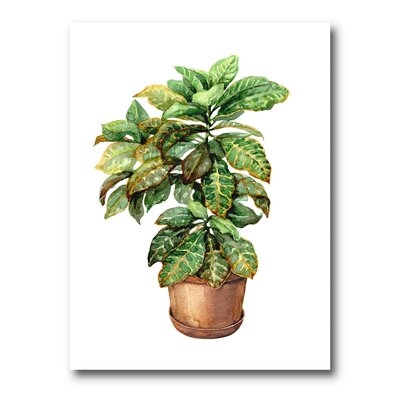Croton In Clay Flowerpot - Traditional Canvas Wall Art Print-FDP35077 - Image 0
