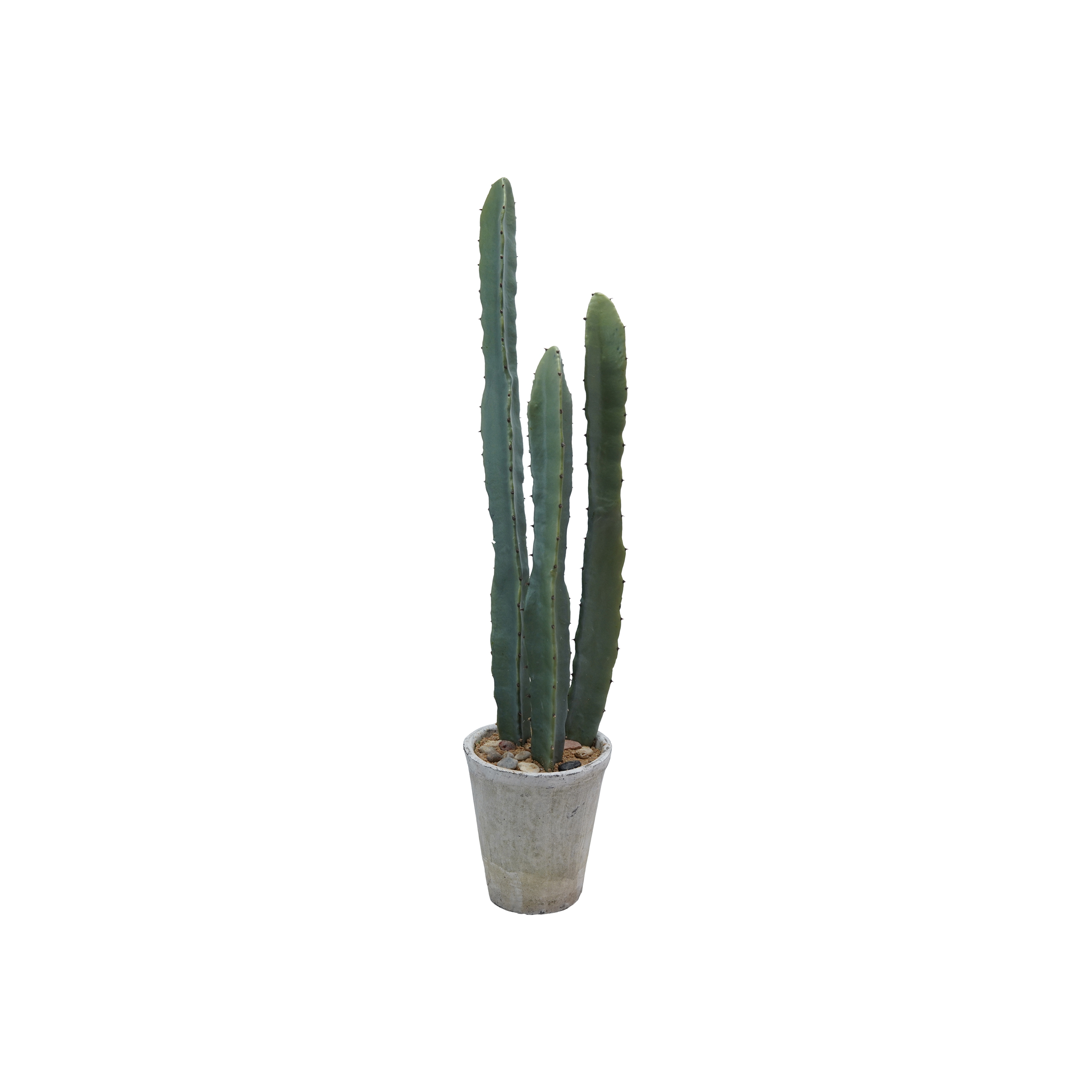 Round Faux Euphorbia Cactus in Cement Pot with Pebbles, Green - Image 0