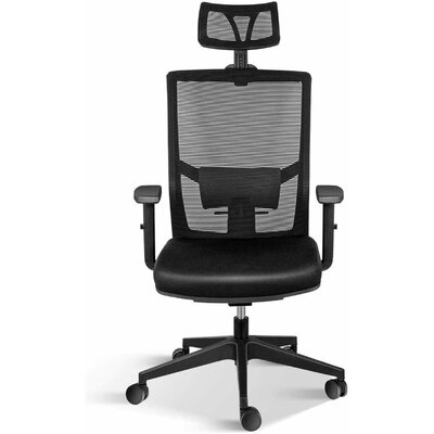 Inbox Zero Task Office Chair Ergonomic Mesh Computer Chair W. Arms And Lumbar Support - Image 0