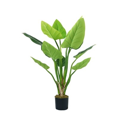 Alaina Philodendron Plant in Planter - Image 0