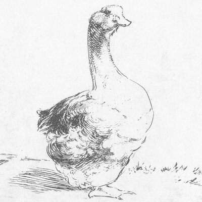 Barnyard Friends Goose by Graffitee Studios - Wrapped Canvas Drawing Print Print - Image 0