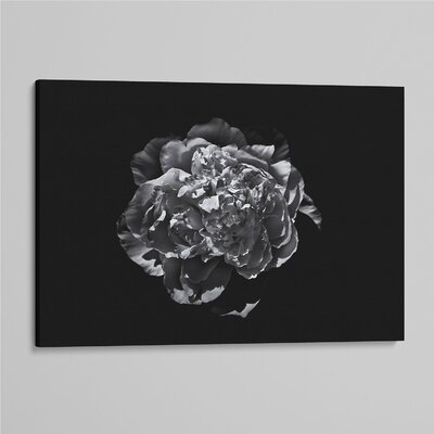'Backyard Flowers In Black And White 19' - Photographic Print On Wrapped Canvas - Image 0