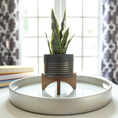 Gallucci 12'' Faux Snake Plant Plant in Ceramic Planter - Image 0