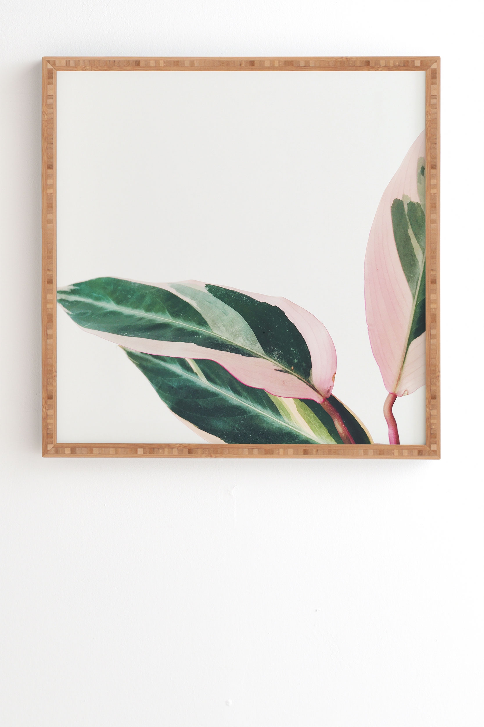 Pink Leaves Ii by Cassia Beck - Framed Wall Art Bamboo 20" x 20" - Image 0