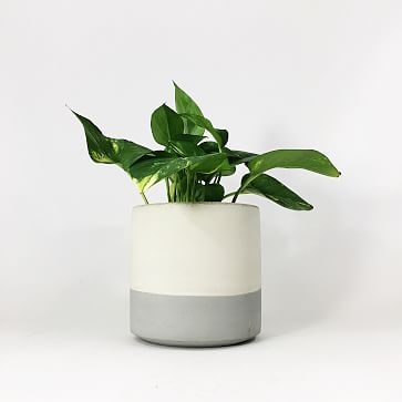 Straight-Sided Concrete Pot, Small, Light Gray - Image 2
