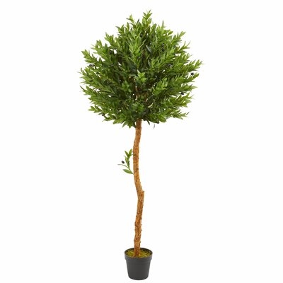 5.5’ Olive Topiary Artificial Tree UV Resistant (Indoor/Outdoor) - Image 0