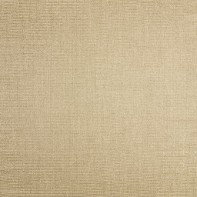 Sisal Almond Brown Runner Rug 2'10"x9' - Image 0