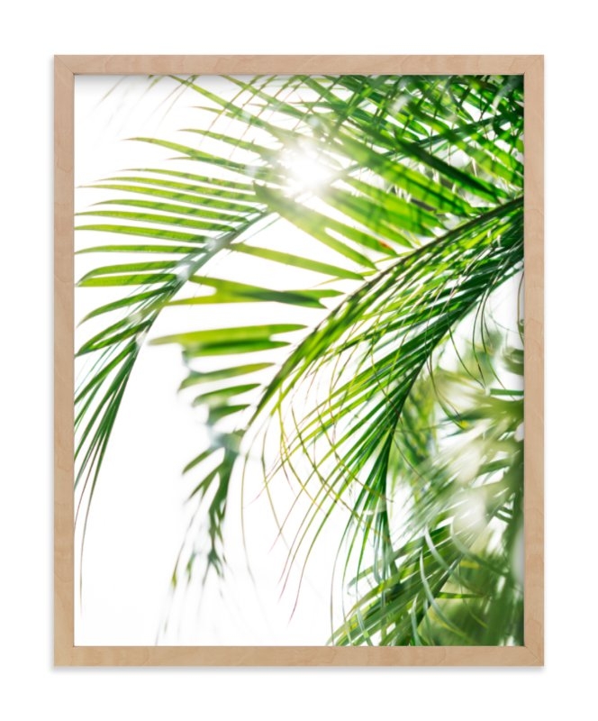 Palm 3 Limited Edition Fine Art Print 1 - Image 0
