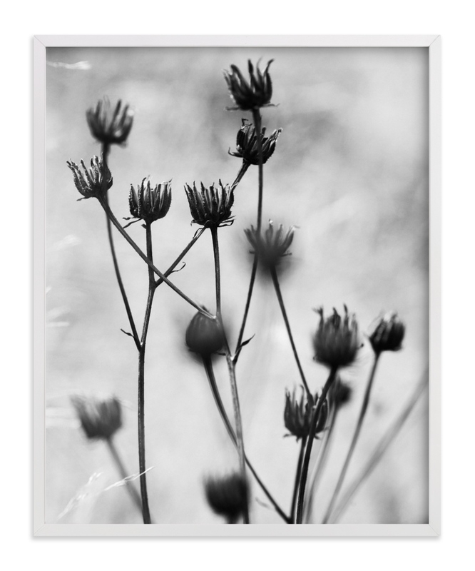 Autumn Detail Limited Edition Fine Art Print 1 - Image 0