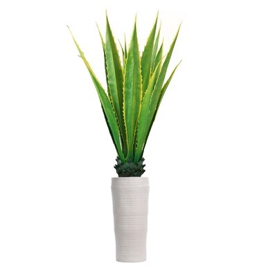 Indoor/Outdoor Agave Plant in Planter - Image 0