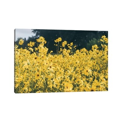 Daisies For Days by - Wrapped Canvas - Image 0
