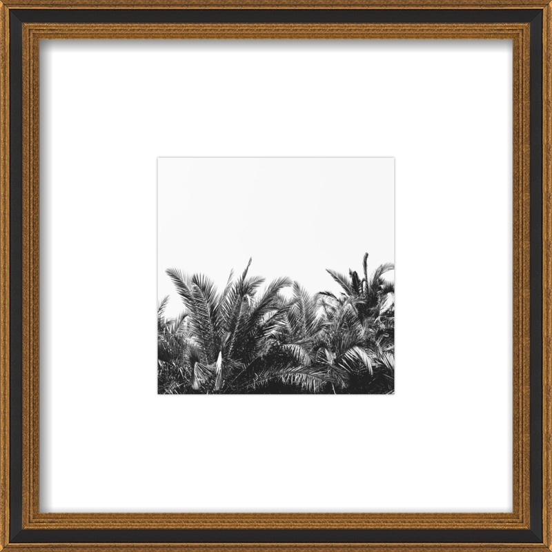 Palm Breeze by Alicia Bock for Artfully Walls - Image 0