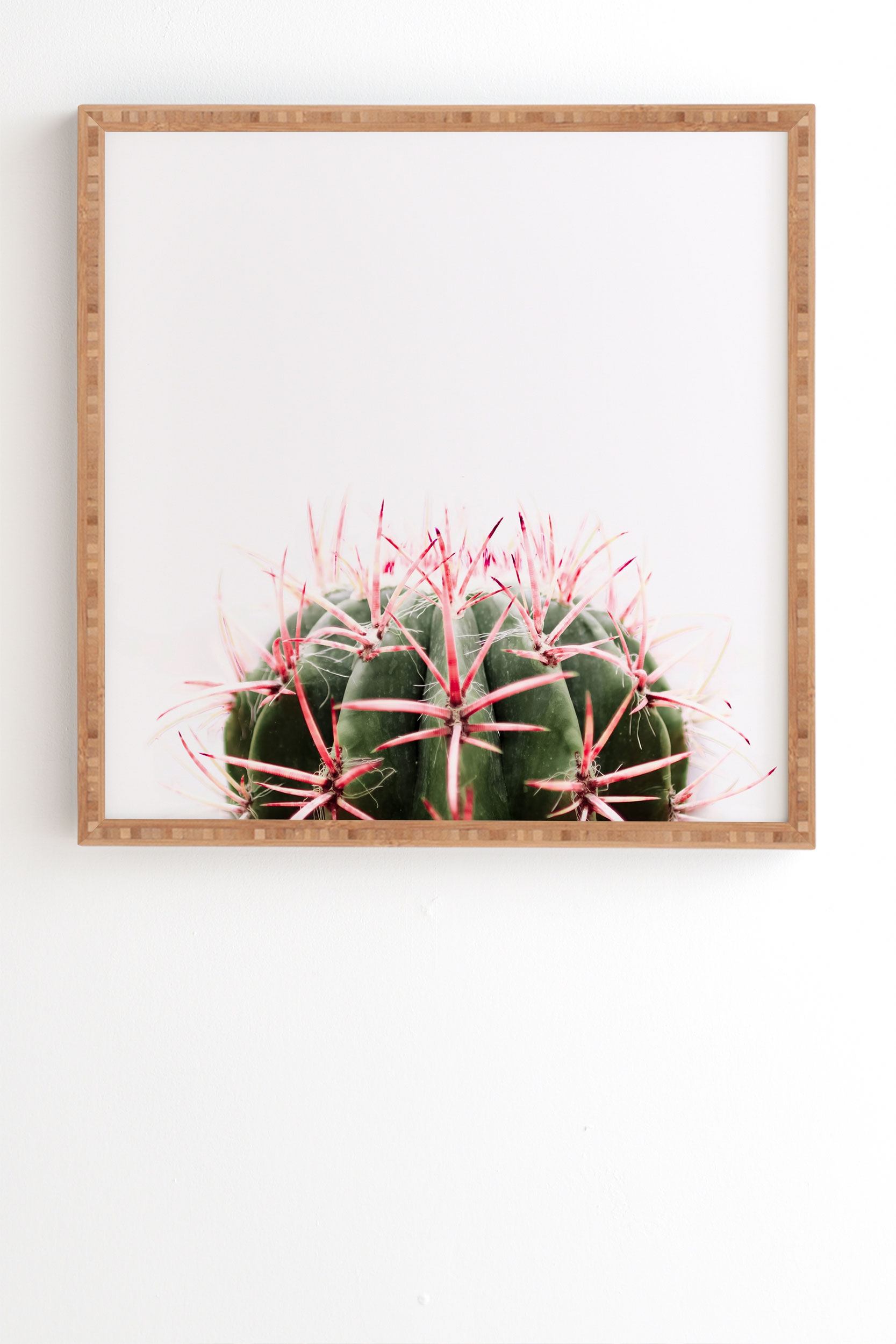 Cactus Red by Ingrid Beddoes - Framed Wall Art Bamboo 11" x 13" - Image 1