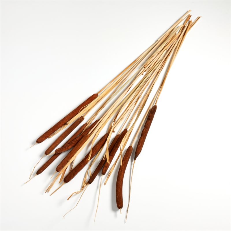Cattail Bunch - Image 1