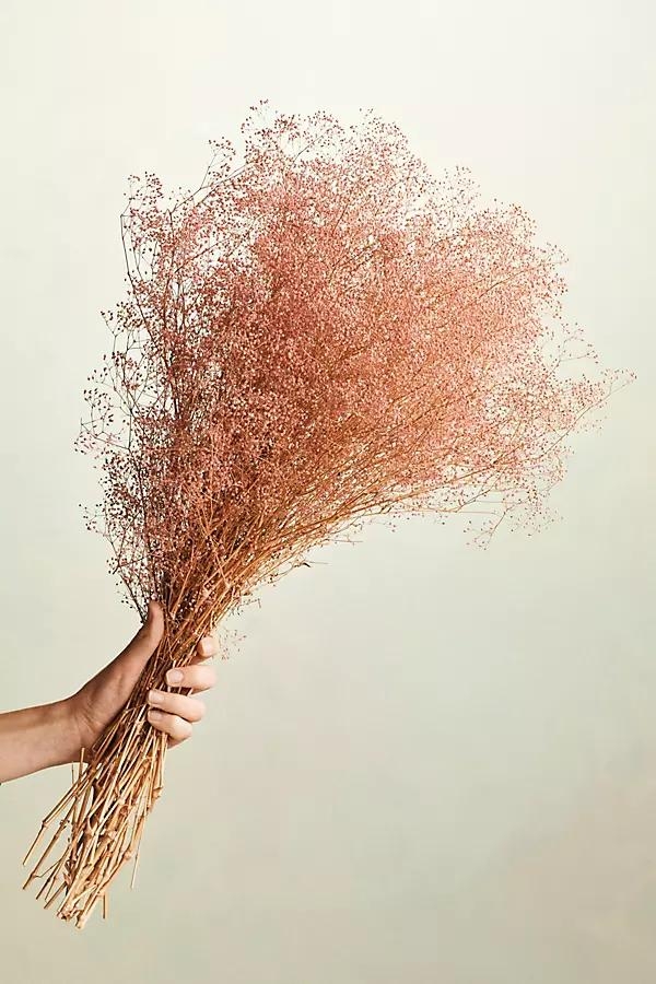 Dried Gypso Bunch - Image 0