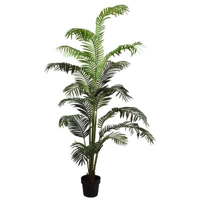 Palm Tree in Pot - Image 0