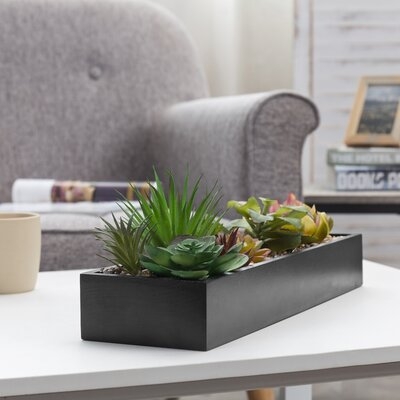 15 X 5 Inch Artificial Succulent Plant In Planter - Image 0