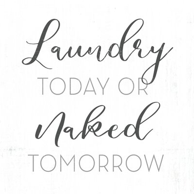 Laundry Today Or Naked Tomorrow - Image 0