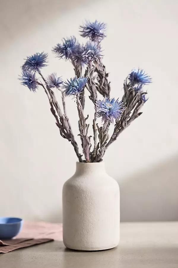 Preserved Helichrysum Bunch - Image 0