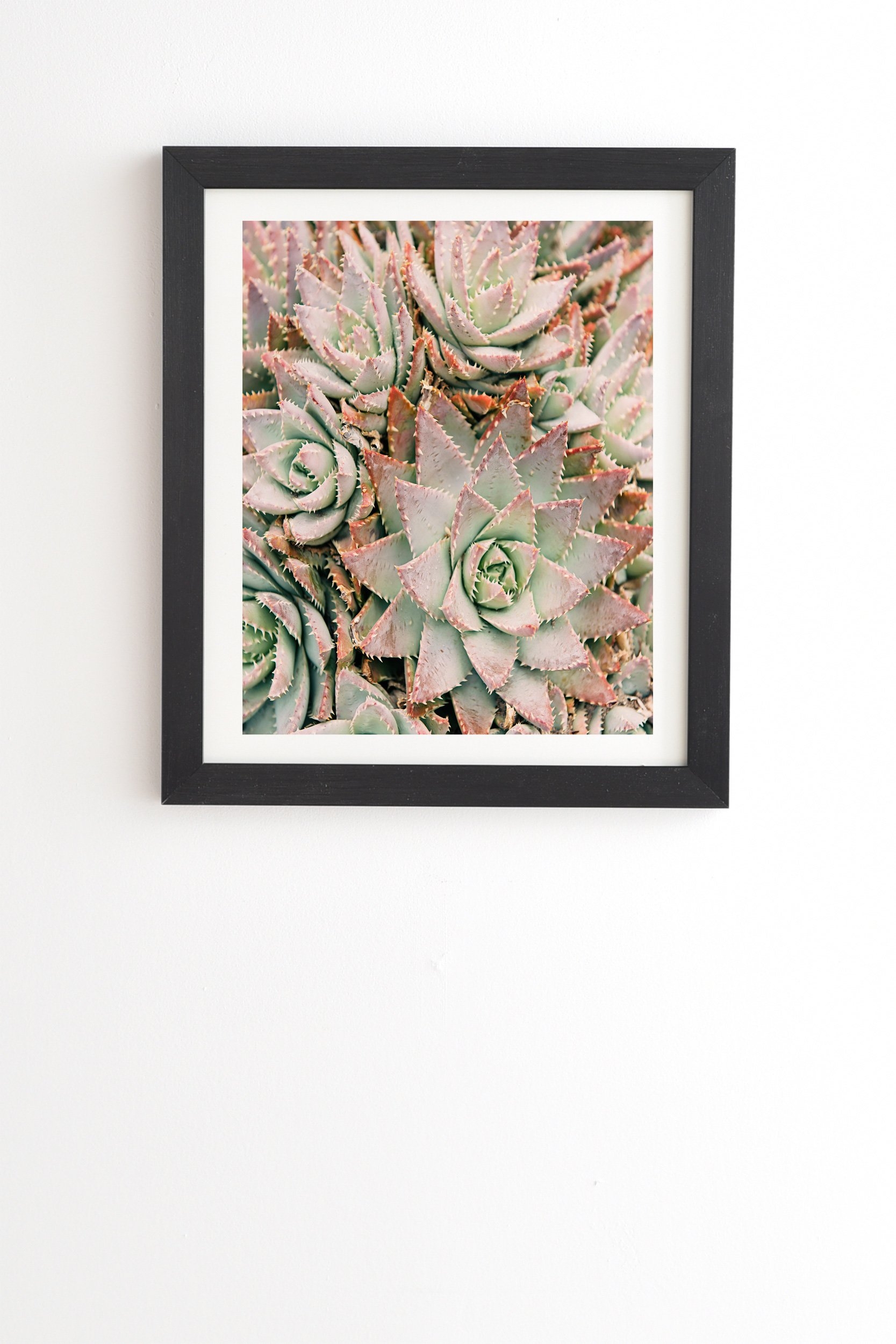 Bree Madden Succulent Black Framed Wall Art - 30" x 30" - Image 0