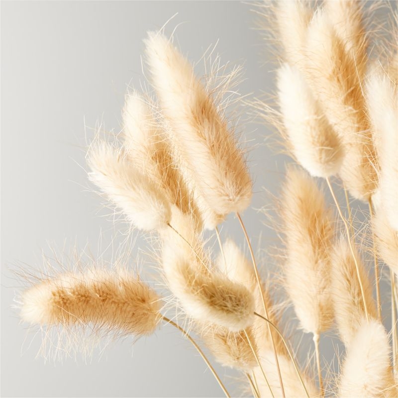 BUNNIES TAIL TAUPE BUNCH 28" - Image 1