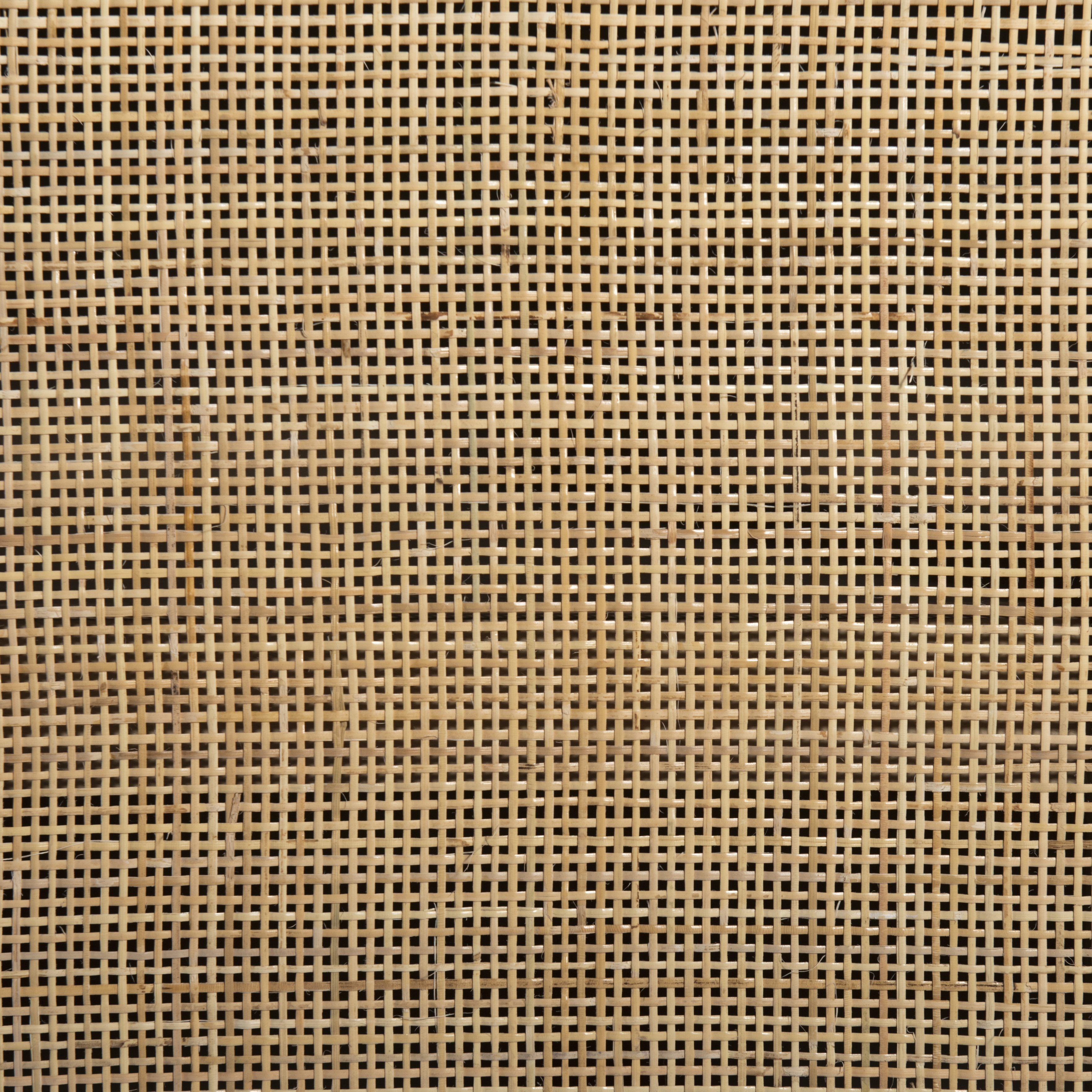 Caprice Wide Bookshelf-Natural Mango - Image 6