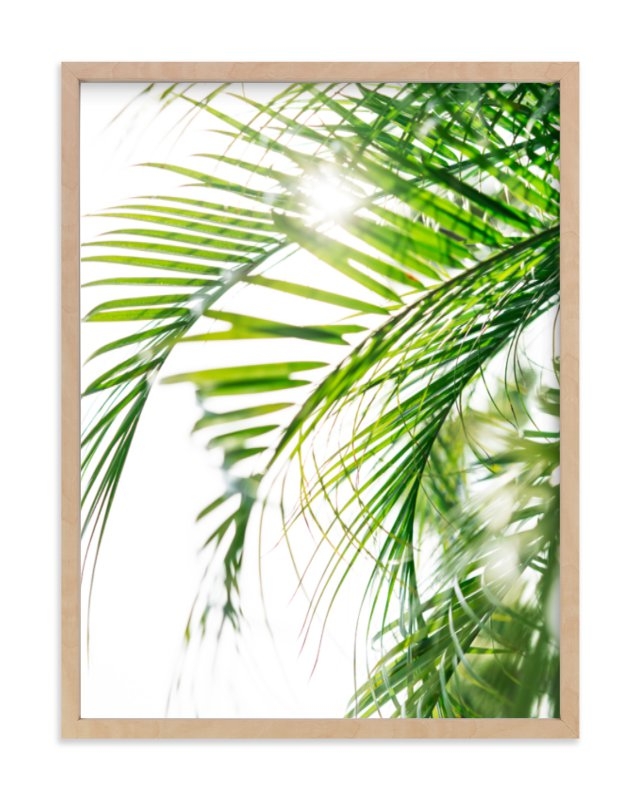Palm 3 Limited Edition Fine Art Print 1 - Image 0