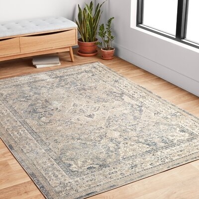 Sagefield Oriental Gray Area Rug - Image 0