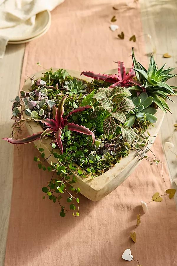 White Terracotta Heart Planter - Image 0