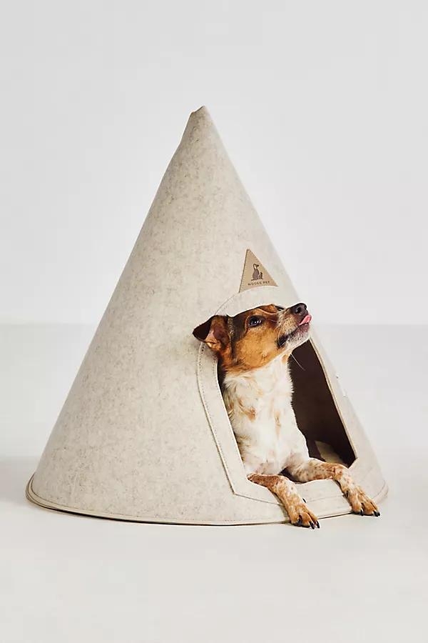 Lucy Pet Cave - Image 0