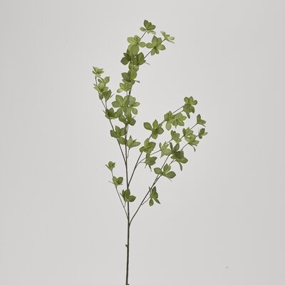 Foliage Branch - Image 0